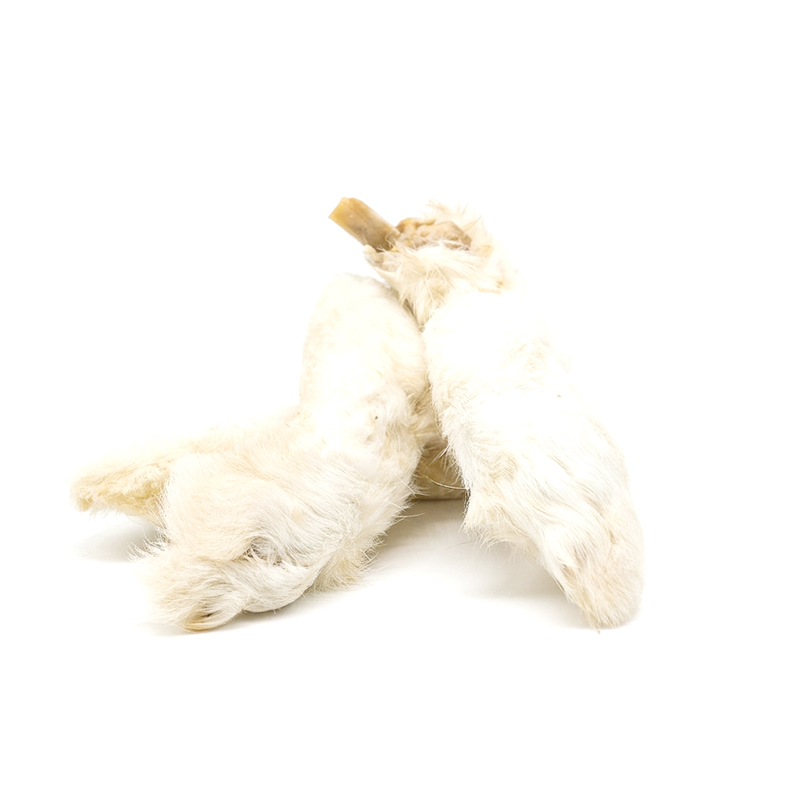 Rabbit Feet with Hair