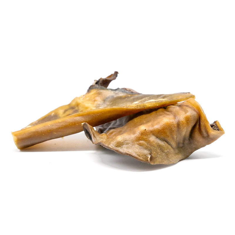 Wild Boar Skin